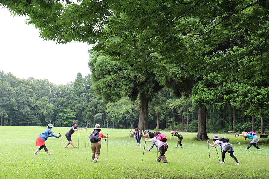 森林の香り