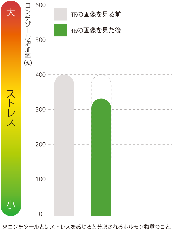 感覚をひらく